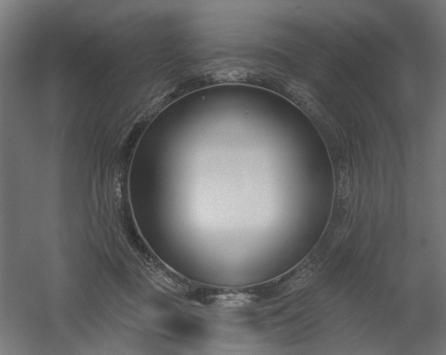 X0000061100363200511241622