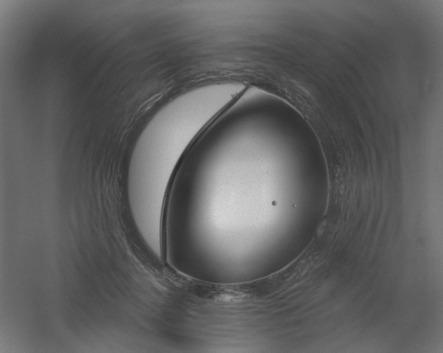 X0000061100364200511241622