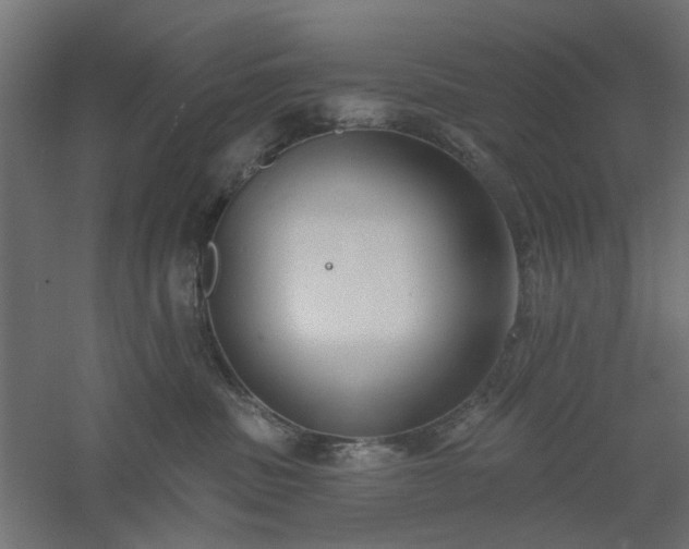 X0000061100379200511241623