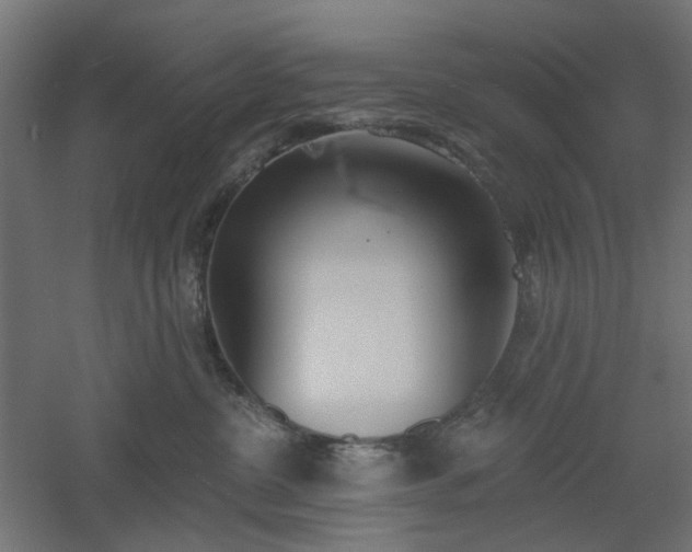 X0000061100380200511241623