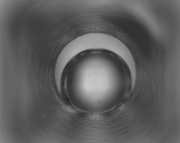 X0000061100383200511241623