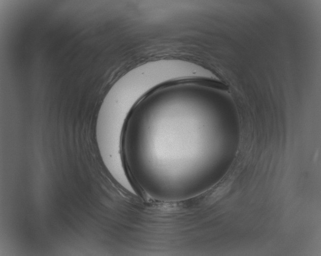 X0000061100384200511241623