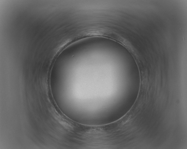 X0000061100386200511241622