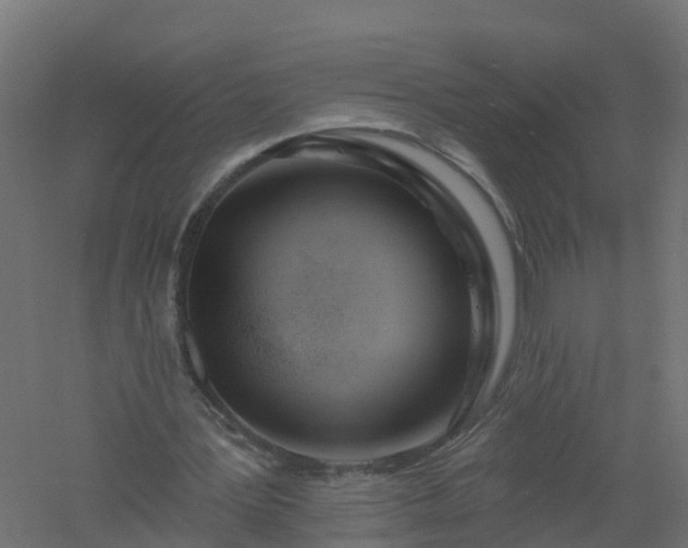 X0000061100387200511241622