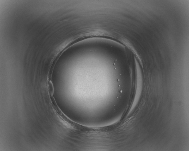 X0000061100389200511241622