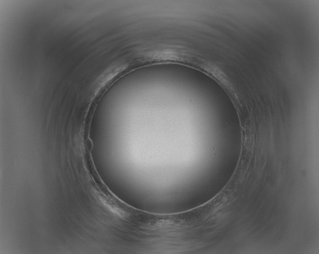 X0000061100390200511241622