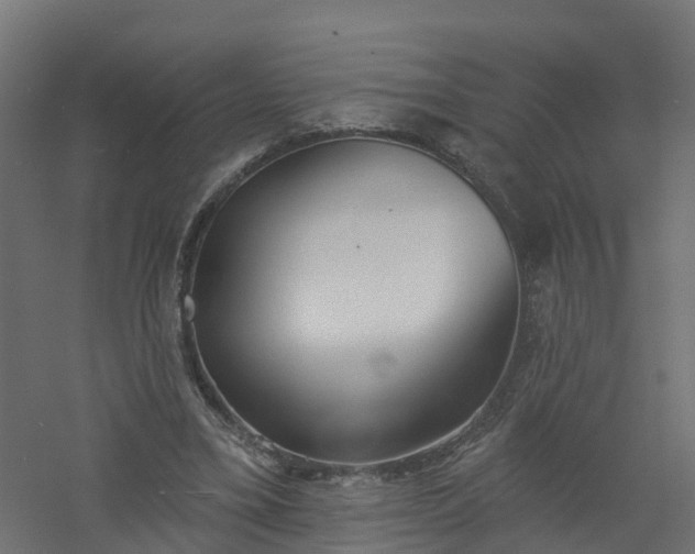 X0000061100395200511241622