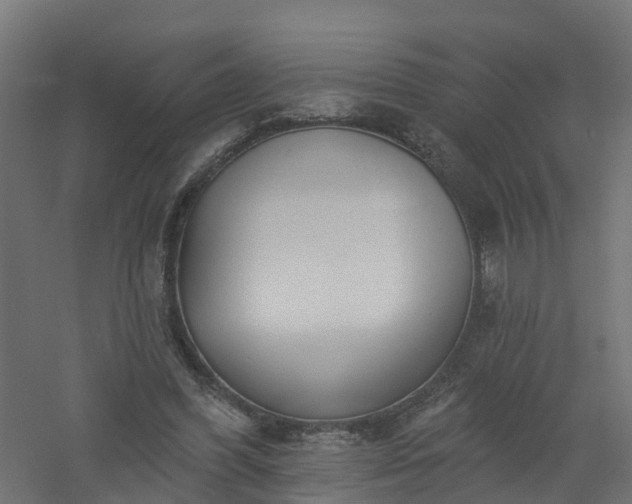 X0000061100396200511241622