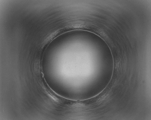 X0000061100397200511241622