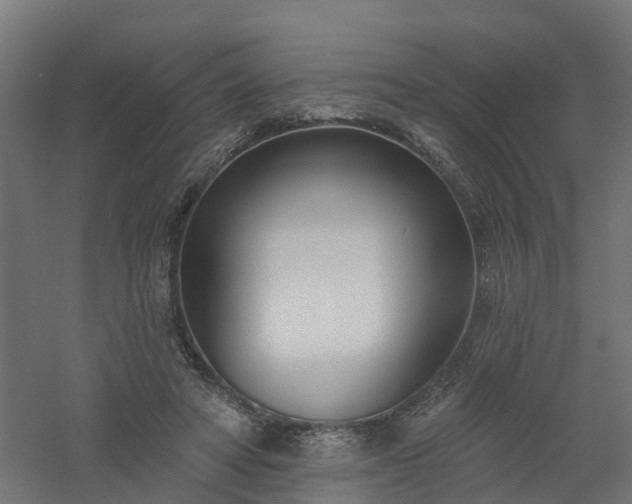 X0000061100402200511241621