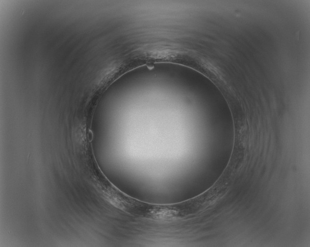X0000061100407200511241621