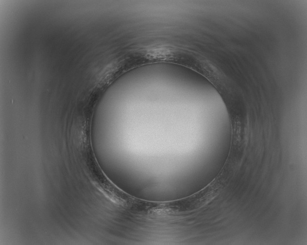 X0000061100408200511241621