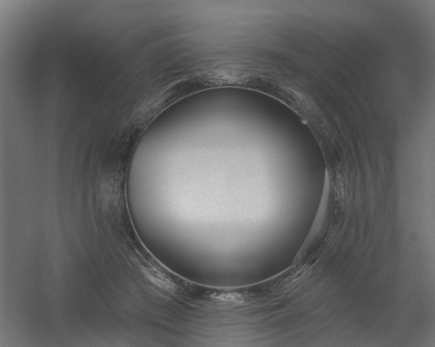 X0000061100409200511241621