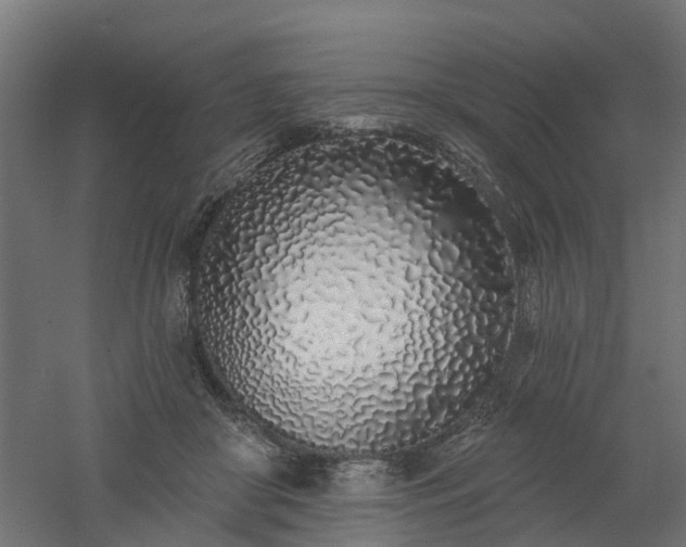 X0000061100410200511241621