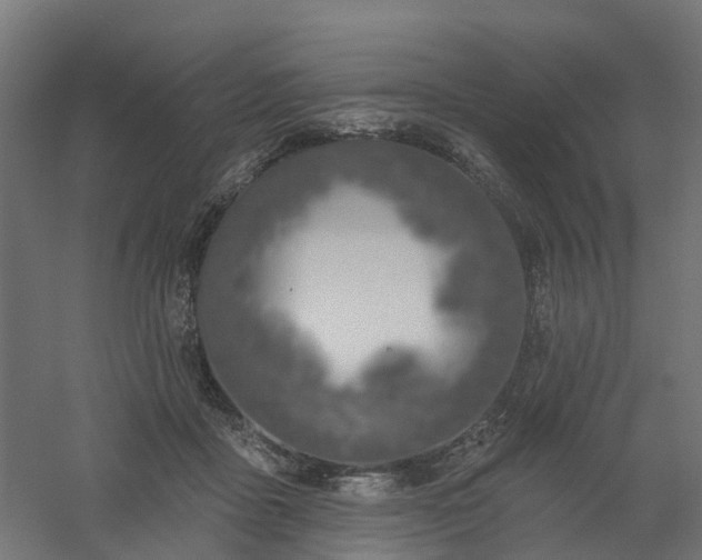 X0000061100411200511241621