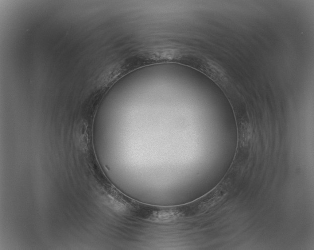X0000061100414200511241621