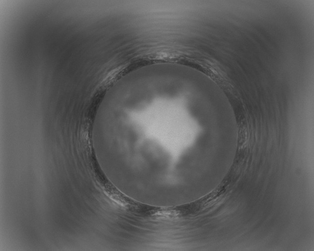 X0000061100415200511241621