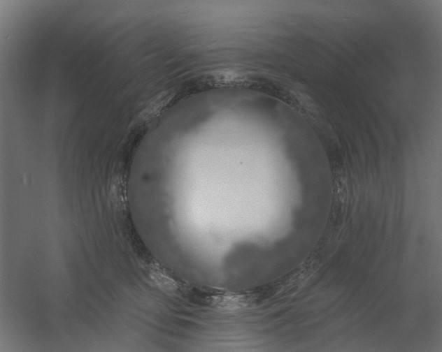 X0000061100419200511241621