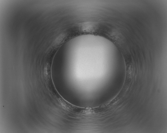 X0000061100424200511241621