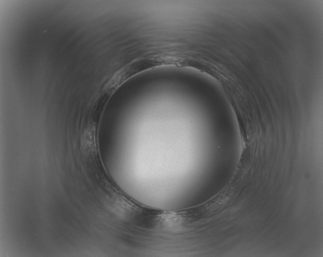 X0000061100425200511241621