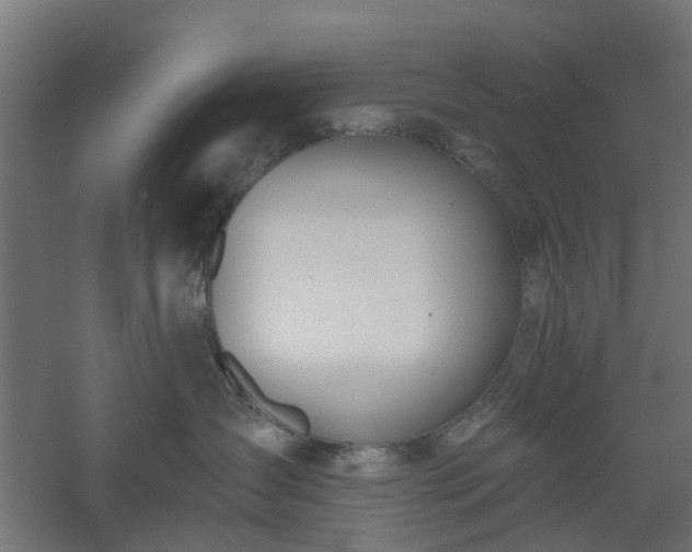 X0000061100431200511241621