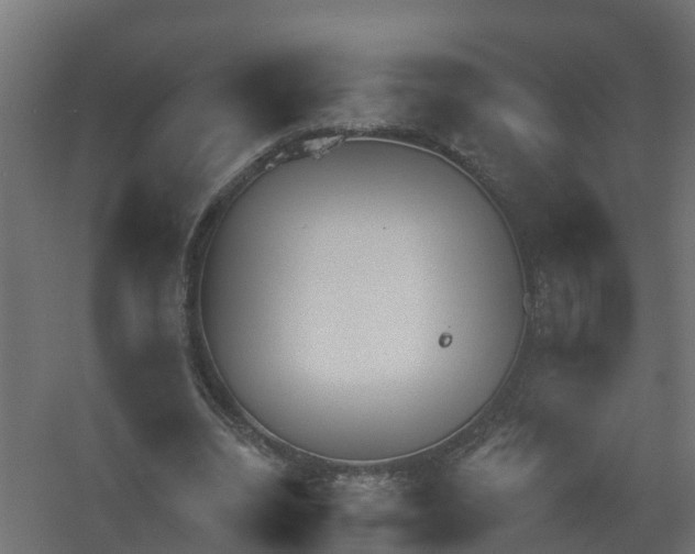 X0000061100440200511241620