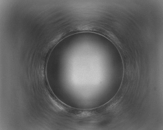 X0000061100441200511241620
