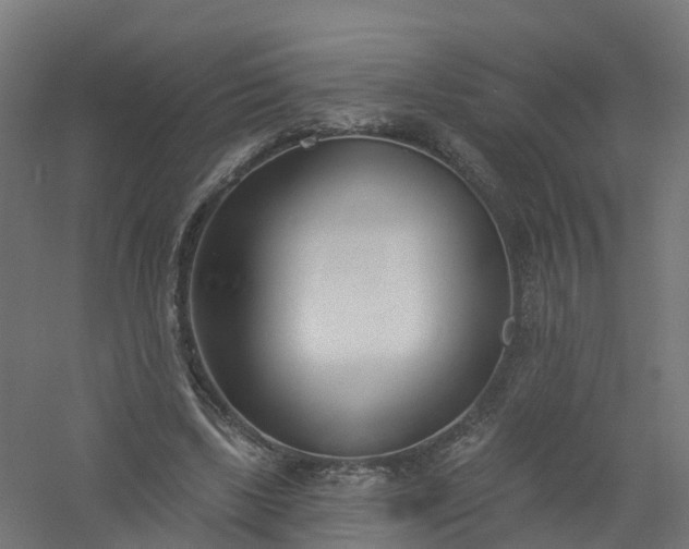 X0000061100443200511241620