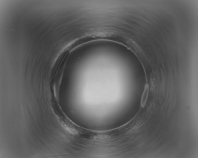 X0000061100444200511241620