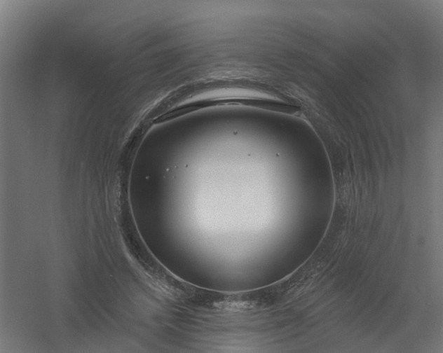 X0000061100448200511241620