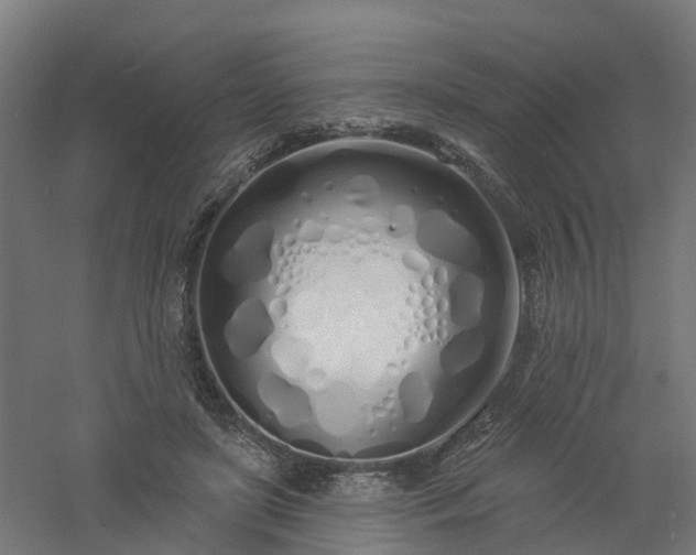 X0000061100451200511241620