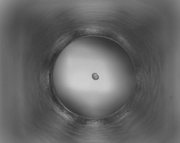 X0000061100454200511241620