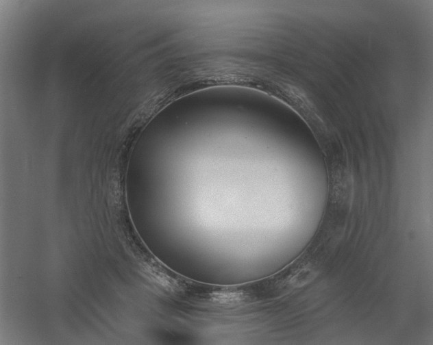 X0000061100457200511241621