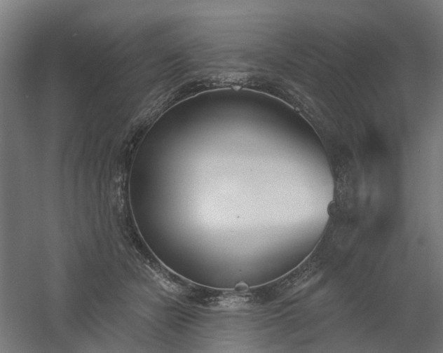 X0000061100462200511241621