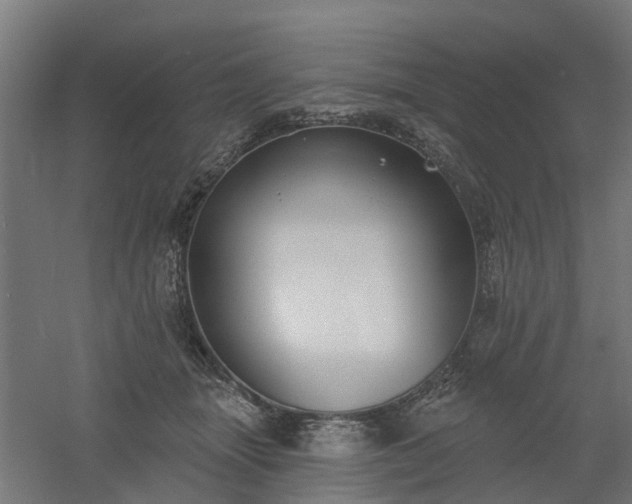 X0000061100463200511241621