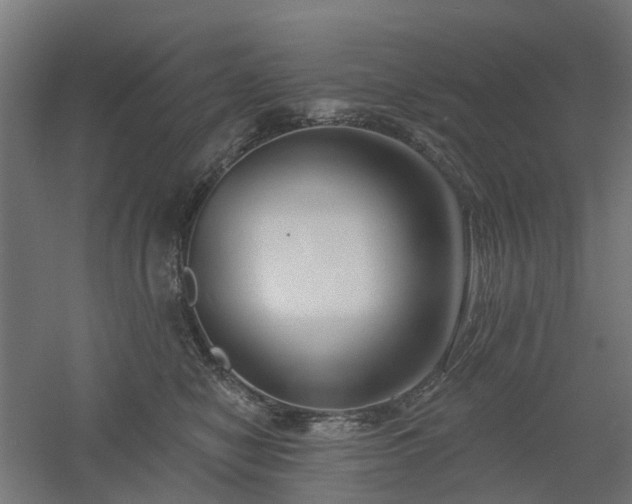 X0000061100470200511241621