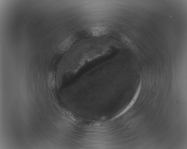 X0000061100471200511241621
