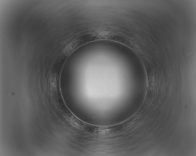 X0000061100472200511241621