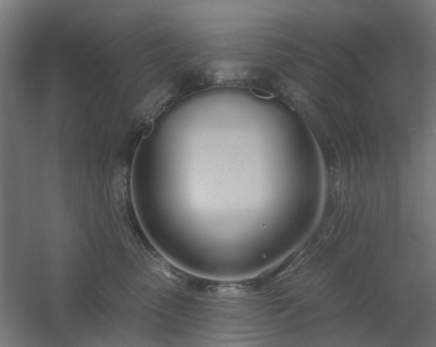 X0000061100475200511241621