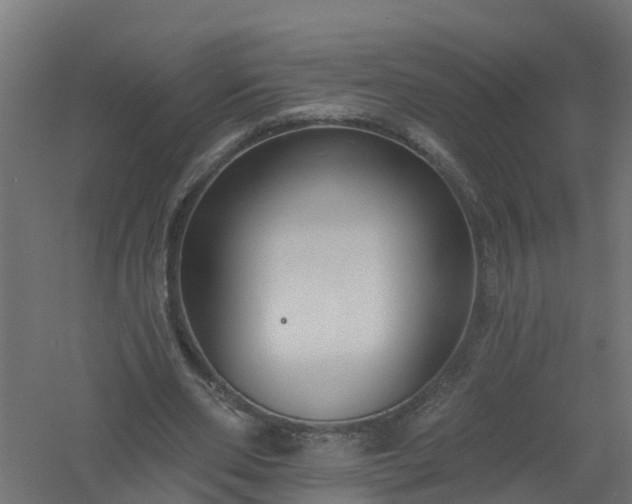X0000061100486200511241620