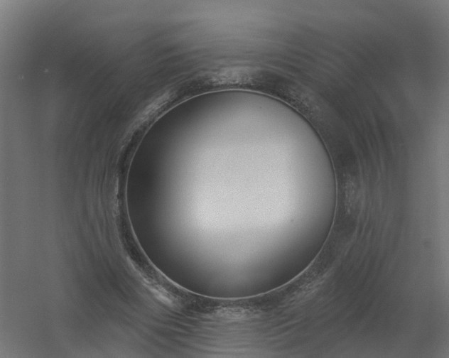 X0000061100490200511241620