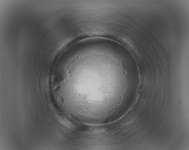X0000061100491200511241620