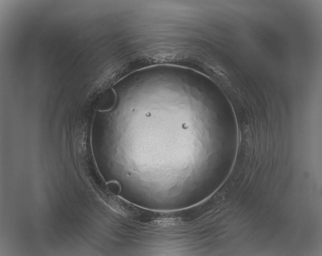 X0000061100499200511241620