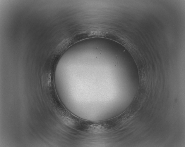 X0000061100502200511241620