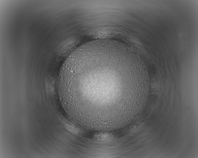 X0000061100503200511241620