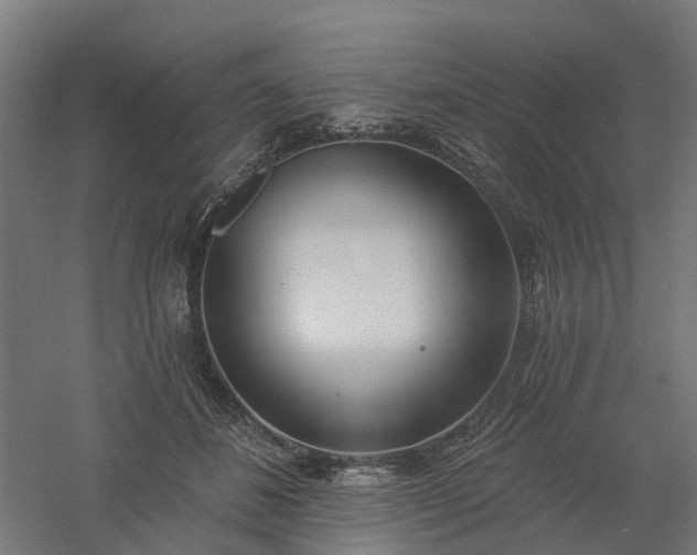 X0000061100508200511241620