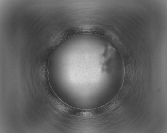 X0000061100509200511241620