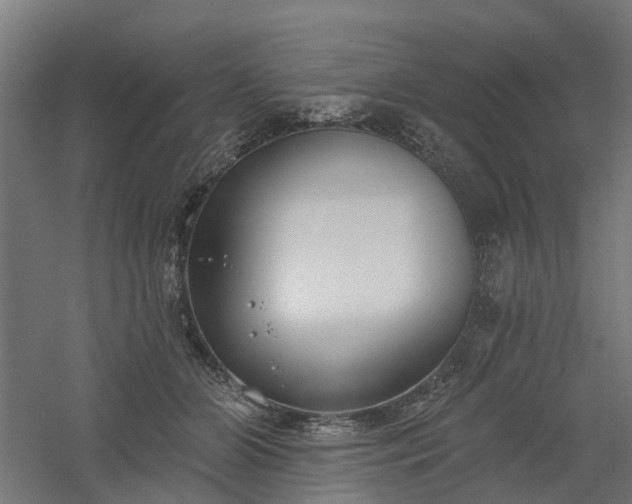 X0000061100510200511241620