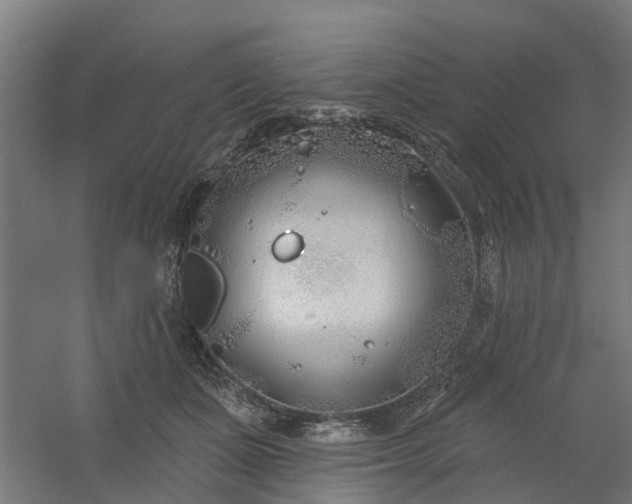 X0000061100511200511241620