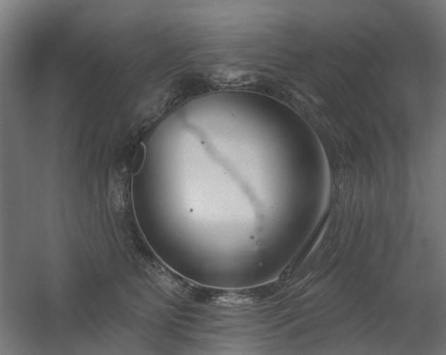 X0000061100515200511241620